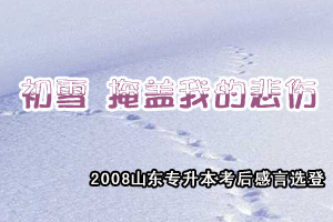��ѩ���ڸ��ҵı��ˡ���2008��ɽ��ר�����������(18)